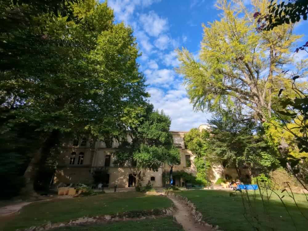 Évaluation phytosanitaire et mécanique de 78 arbres, incluant une expertise approfondie de 3 arbres, à la Clinique Pont-du-Gard à Remoulins (30)
