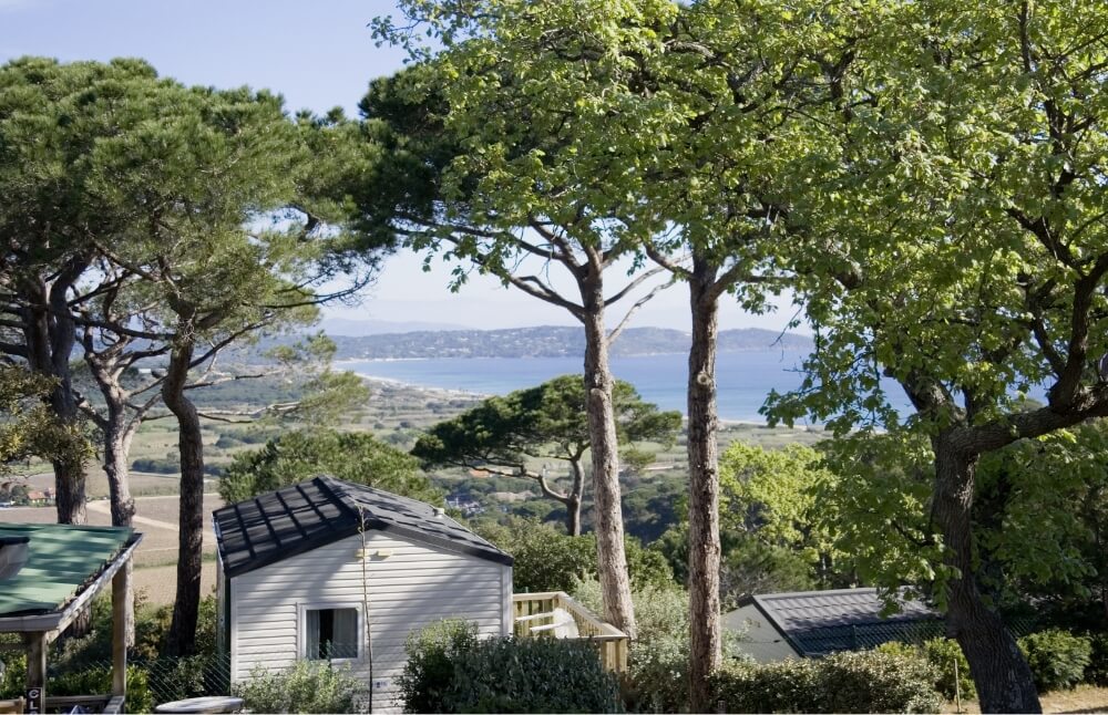 Service de gestion arboricole dans un camping, incluant diagnostics, plans de gestion et supervision des interventions pour assurer la sécurité des arbres.