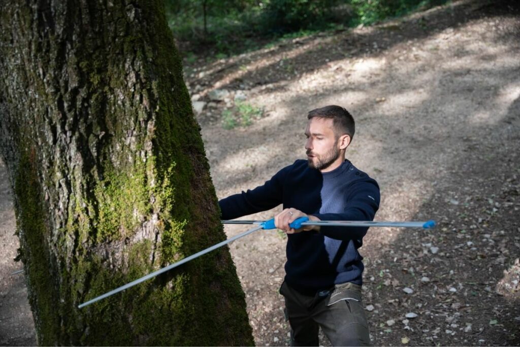 Expert arboricole en action, évaluant la santé et la structure des arbres, mettant en pratique son expertise en ingénierie forestière et en structure bois.
