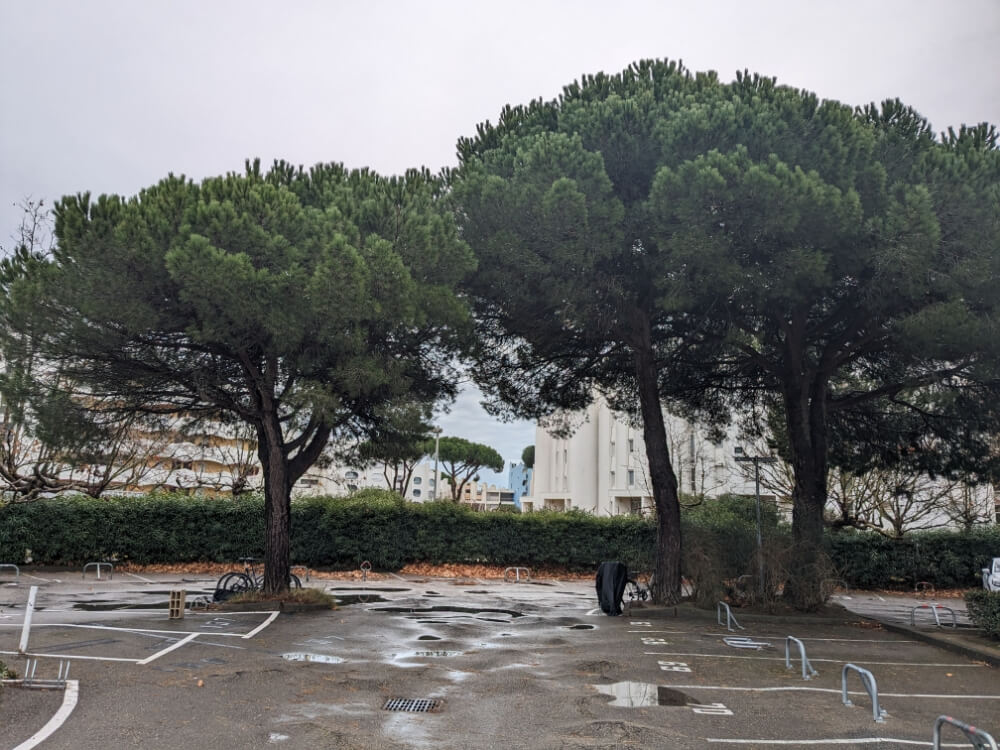 Espaces arborés sécurisés et entretenus dans une copropriété, garantissant le bien-être des résidents.