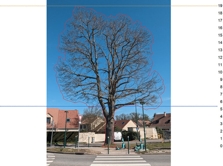 Calcul de la surface du houppier pour évaluer la résistance de l'arbre aux charges de vent maximales dans un test de traction.