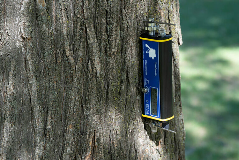 Élastomètres utilisés pour mesurer la déformation des racines d'un arbre pendant un test de traction, essentiel pour évaluer la stabilité et la résistance aux charges de vent.
