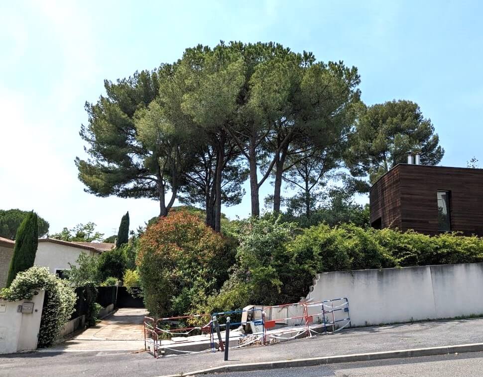 Évaluation de la valeur des arbres à l'aide d'outils spécialisés comme le barème VIE/BED