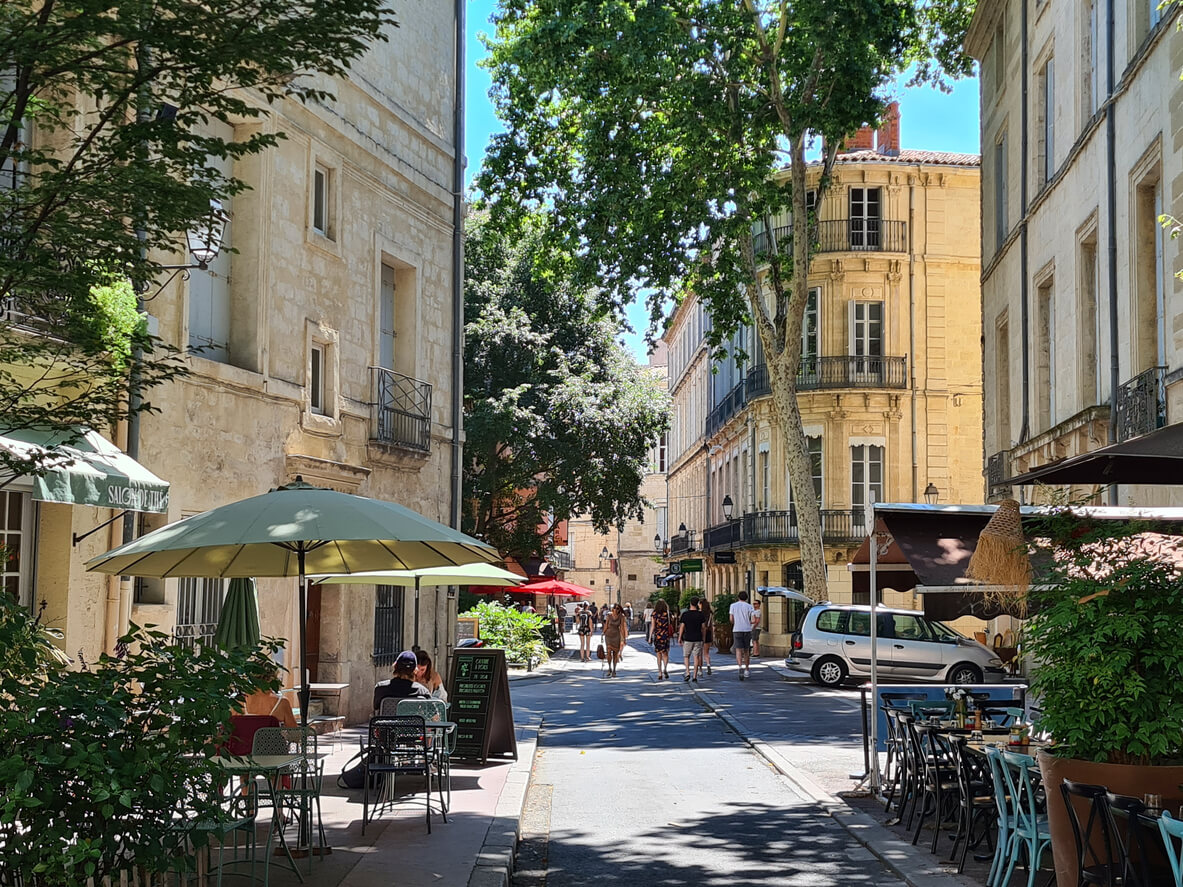 Ville arborée de l'Hérault, illustrant la gestion pluriannuelle du patrimoine arboré pour assurer la sécurité et la valorisation des arbres emblématiques.