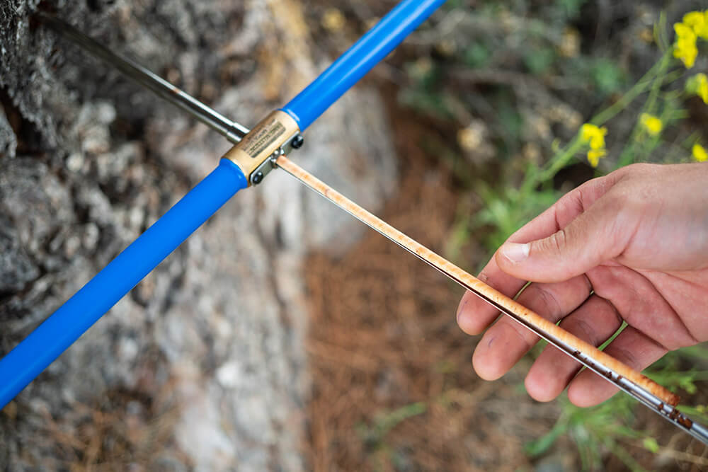 Expert arboricole utilisant une tarière de Pressler pour mesurer l'âge d'un arbre
