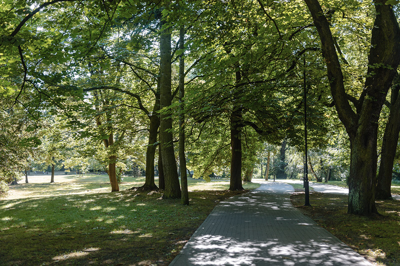 Parc urbain verdoyant, représentant la gestion durable du patrimoine arboré pour préserver l'équilibre entre la nature et l'urbanisme.