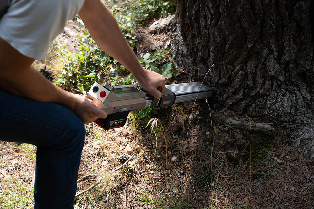 Expert arboricole utilisant un pénétromètre pour mesurer la résistance mécanique du bois et évaluer la dégradation interne d'un arbre.