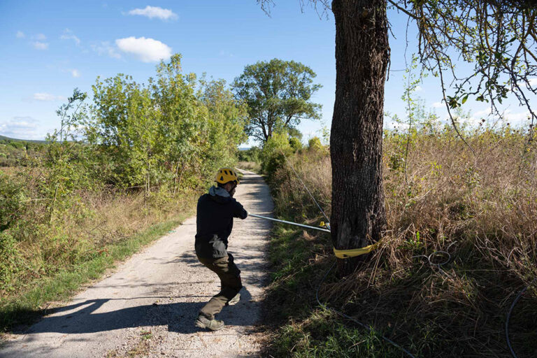 Expert arboricole effectuant un test de traction sur un arbre pour évaluer la résistance du tronc et l'ancrage racinaire face aux charges de vent.