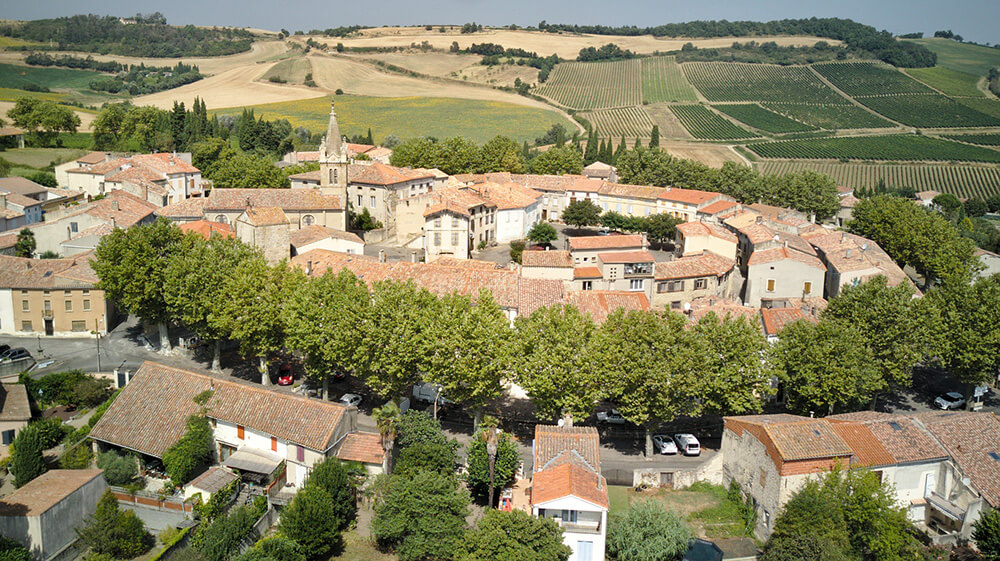 Arboras Conseil propose des solutions durables pour la gestion arboricole, adaptées aux contraintes budgétaires et réglementaires, tout en tenant compte des spécificités locales.
