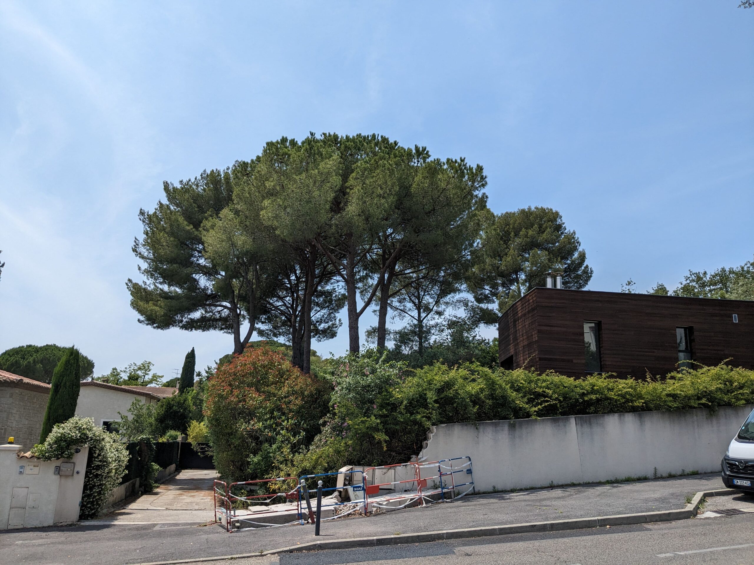 Lire la suite à propos de l’article Arbre voisin trop haut : que dit la loi ? Vos droits et obligations selon le Code civil